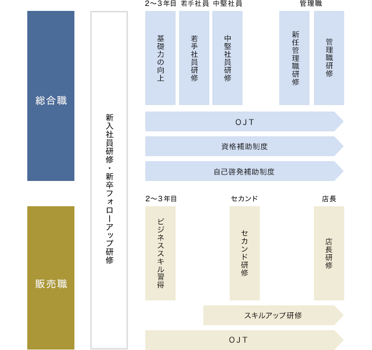 人材育成体系図